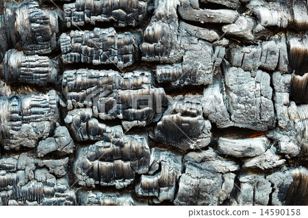 Charred wooden wall after fire 14590158
