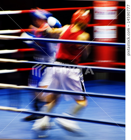 Boxers at the ring 14590777