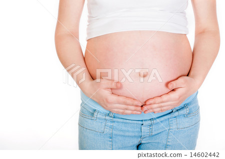 Belly of a pregnant woman on a white background Belly of a pregnant woman on a white background 14602442