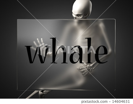whale word on glass and skeleton 14604631