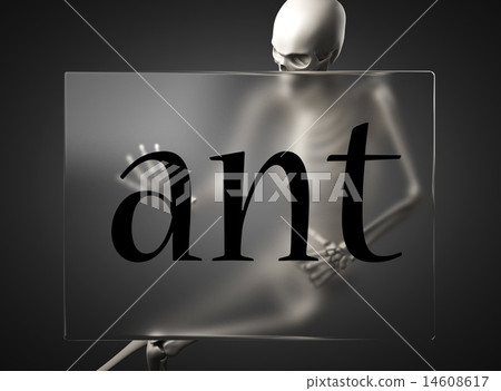 ant word on glass and skeleton ant word on glass and skeleton 14608617