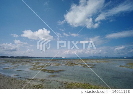 Kim Woo-ba從水下路看見 Kim Woo-ba從水下路看見 14611158