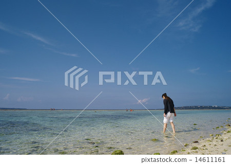 在Sze Shoi海灘玩水 14611161