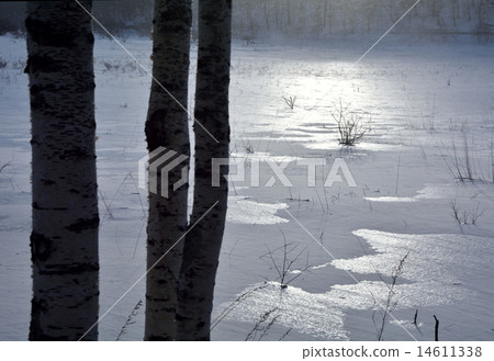 閃閃發光的雪原 閃閃發光的雪原 14611338