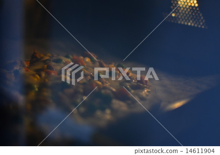 在烤箱烘烤的比薩餅 14611904