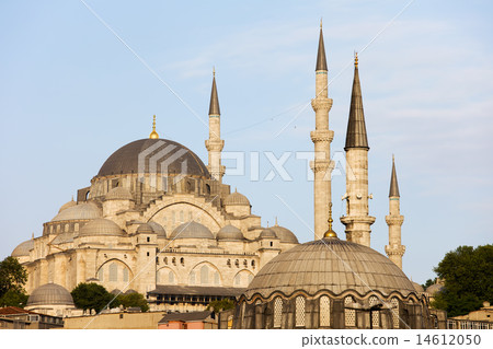 Suleymaniye Mosque in Istanbul 14612050