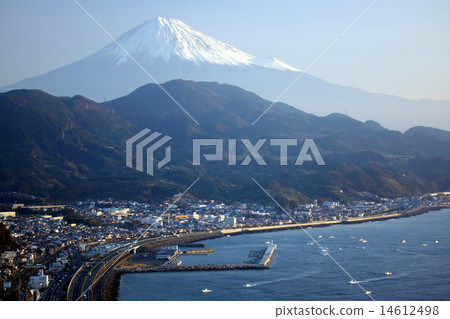 Shirasu和富士山 14612498