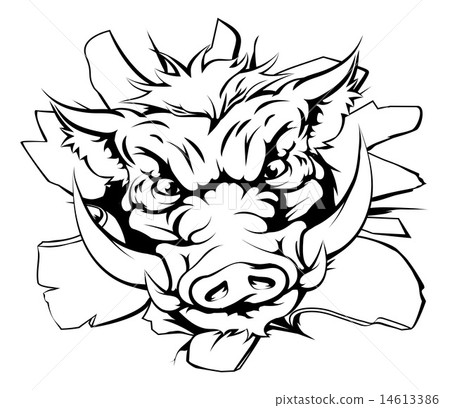 Boar charging through background 14613386