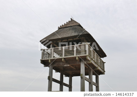 觀察者槳 14614337