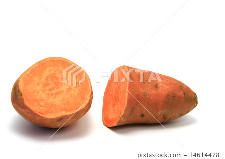 Sweet potato or batata (Ipomoea batatas) 14614478