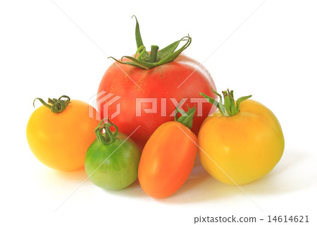 Colorful tomatoes Colorful tomatoes 14614621