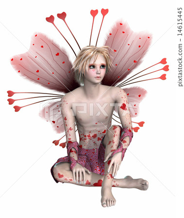Valentine Fairy Boy 14615445