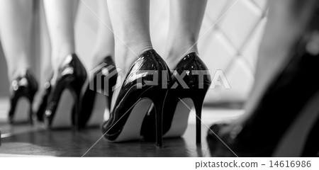 Fashion Show Fashion Show 14616986