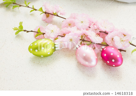 cherry  flowers with easter eggs 14618318