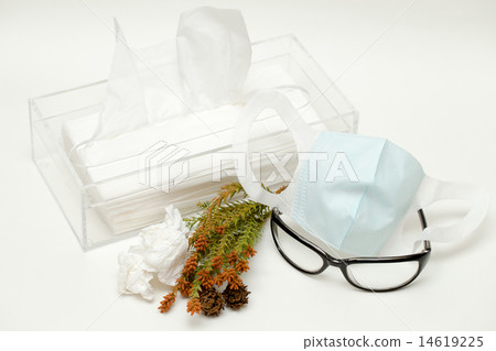 花粉熱的措施 14619225