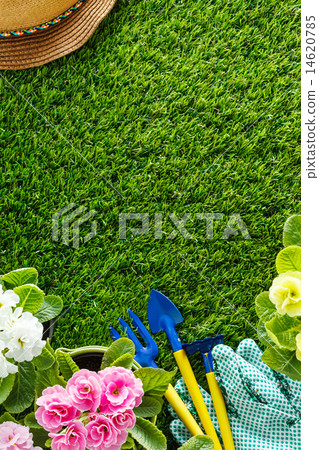 spring flowers 14620785