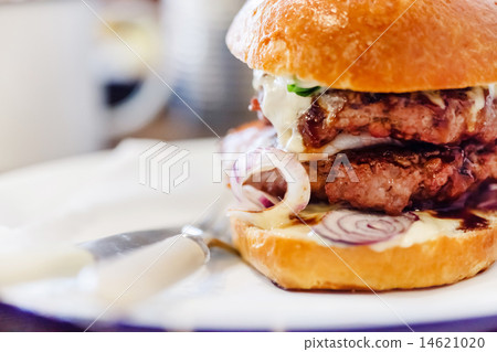 tasty burger 14621020