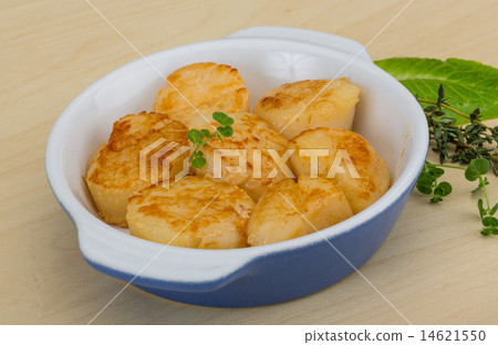 Grilled scallops Grilled scallops 14621550