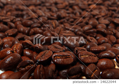 coffee beans 14622044