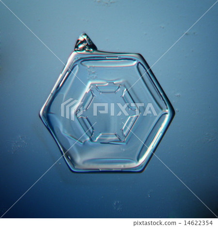 natural snowflake macro 14622354