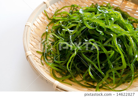 海鮮kombu 14622827