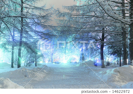 night winter landscape in the city 14622972