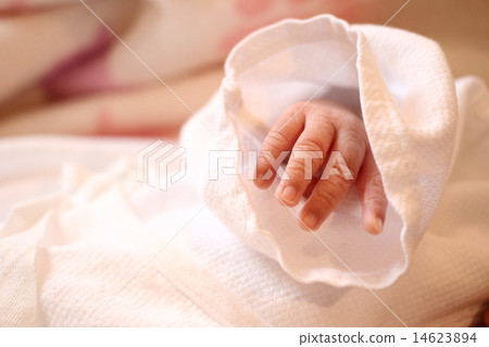 Baby hand 14623894