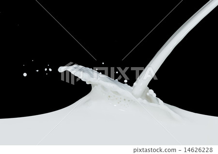milk splash 14626228