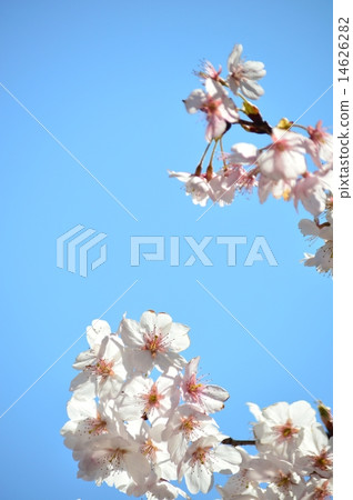 城堡在心中 城堡在心中 14626282