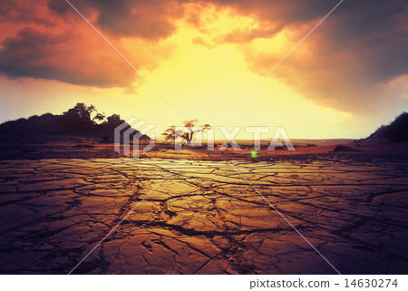Drought land 14630274