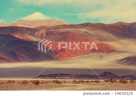 Northern Argentina 14630329