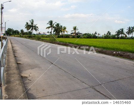 Village street 14635460