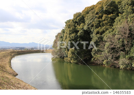 幕府將軍的天使 14635583