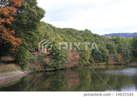 "Kushiyama Tomb" in Yanagimotocho, Tenri City, Nara Prefecture 14635585