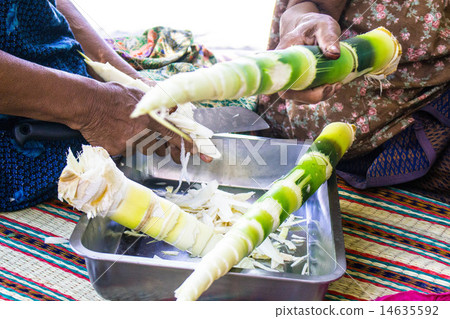 Peeling bamboo 14635592