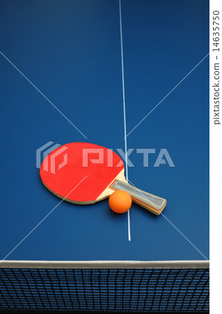 Table Tennis 14635750