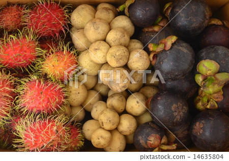 Thai fruit 14635804