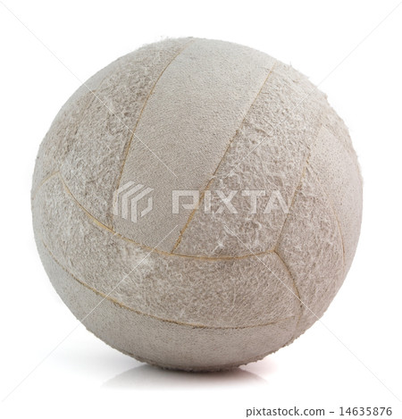 Volleyball 14635876