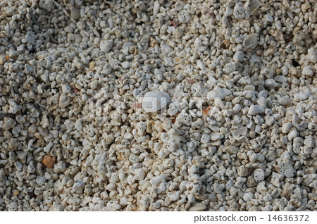 beach of Cow Island 14636372