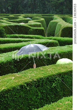 Maze Museum 14636433