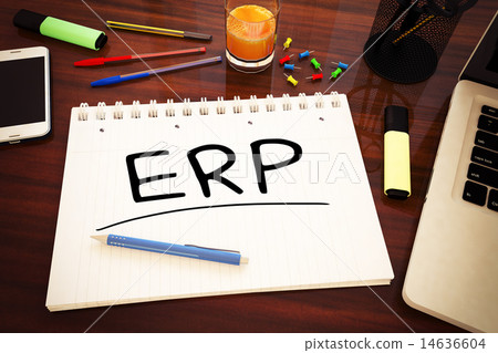 Enterprise Resource Planning 14636604