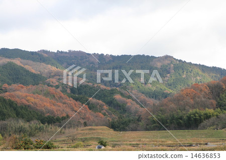 "Yamanobe no Michi" in Nara Prefecture 14636853