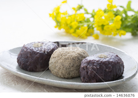 Buddhi米和油菜花 14636876