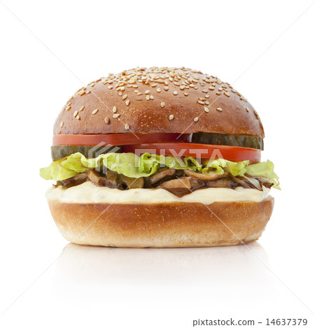 delicious burger delicious burger 14637379