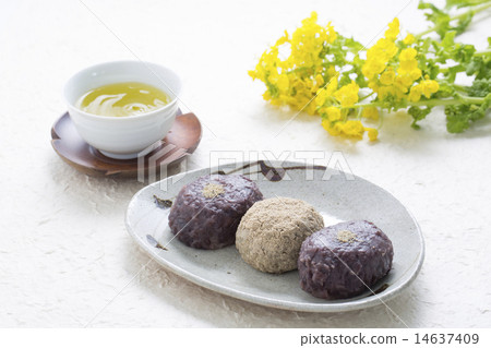 Bottom cake and Japanese tea 14637409