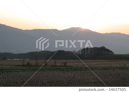 Sunset in spring Sunset in spring 14637505