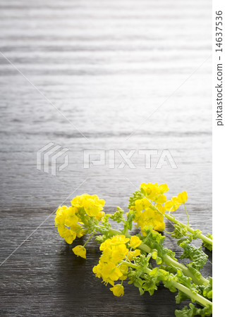 強姦開花背景 強姦開花背景 14637536