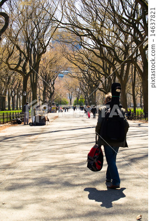Central park, New York City Central park, New York City 14637821