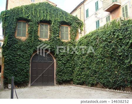 old house entwined with climbing plants 14638252