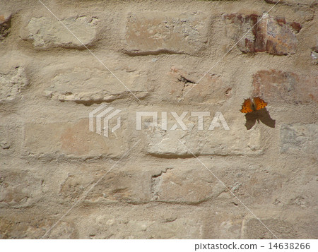 Architectural details of historic buildings. Italy 14638266